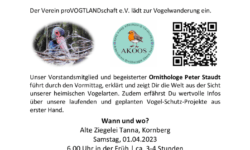 thumbnail of Einladung Aushang Vogelwanderung 01.04.2023