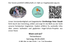 thumbnail of Einladung Aushang Vogelwanderung 09.03.2024