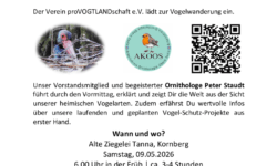 thumbnail of Einladung Aushang Vogelwanderung 09.05.2026