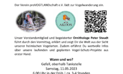 thumbnail of Einladung Aushang Vogelwanderung 11.05.2024