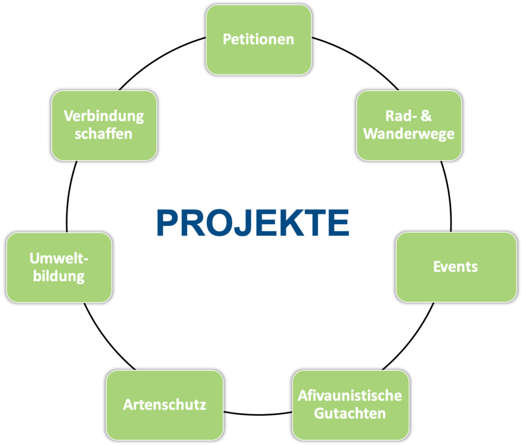 Projekte_proVLS