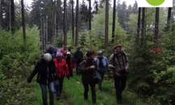 Vogelstimmenwanderung 12.05.2019