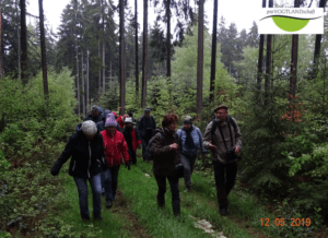 Vogelstimmenwanderung 12.05.2019