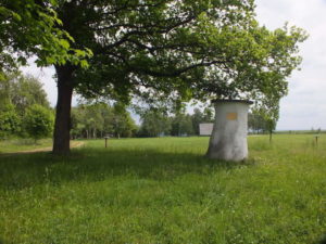 Stelzenbaum auf dem Stelzenberg - Rundwanderweg Vogtland 4-Gipfeltour